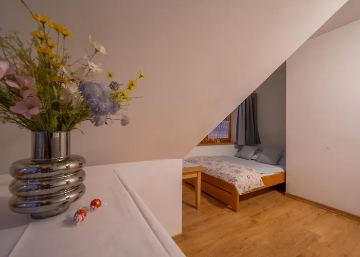 Hanusina זקופאנה