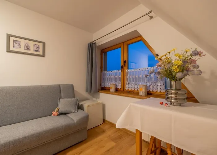 Hanusina בית אירוח זקופאנה